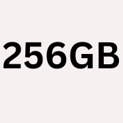 Buy 256GB Memory Cards in Qatar Buy 256GB Memory Cards in Qatar